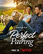 A Perfect Pairing 2022 Hindi Dubbed 480p 720p FilmyFly