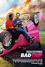 Bad Trip 2020 Hindi Dubbed 480p FilmyFly