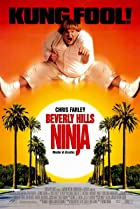 Beverly Hills Ninja 1997 Hindi Dubbed 480p 720p FilmyFly