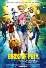 Birds of Prey 2020 Dual Audio Hindi 480p BluRay 300MB FilmyFly