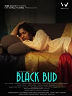 Black Bud 2021 Full Movie Download FilmyFly