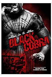 Black Cobra 2012 Dual Audio Hindi 480p 300MB FilmyFly