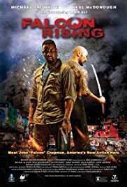 Falcon Rising 2014 Dual Audio Hindi 480p 300MB FilmyFly