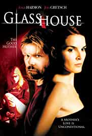 Glass House The Good Mother 2006 Dual Audio Hindi 480p FilmyFly