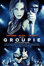 Groupie 2010 Hindi Dubbed 480p FilmyFly