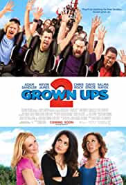 Grown Ups 2 2013 Hindi Dubbed 480p FilmyFly