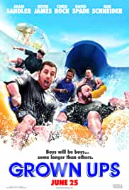 Grown Ups 2010 Dual Audio Hindi 480p FilmyFly