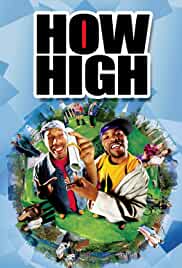 How High 2001 Dual Audio Hindi 480p FilmyFly