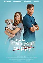 How To Train Your Husband 2017 Hindi Dubbed FilmyFly