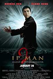 Ip Man 2 2010 Dual Audio Hindi 480p 300MB FilmyFly