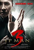 Ip Man 3 2015 Hindi Dubbed  480p 720p FilmyFly