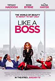 Like A Boss 2020 Dual Audio Hindi 480p FilmyFly