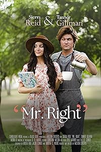 Mr Right 2023 Hindi Dubbed 480p 720p 1080p FilmyFly Filmyzilla Filmywap