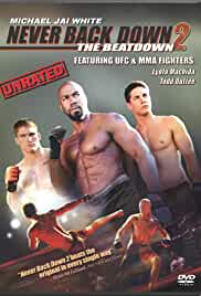 Never Back Down 2 The Beatdown 2011 Dual Audio Hindi 480p FilmyFly