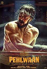 Paiwaan 2019 Hindi Full Movie Download FilmyFly