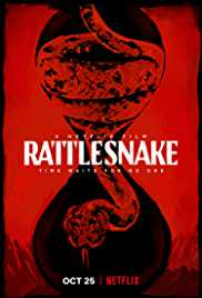 Rattlesnake 2019 Dual Audio Hindi 480p 300MB FilmyFly