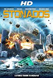 Stonados 2013 Dual Audio Hindi 480p 300MB FilmyFly