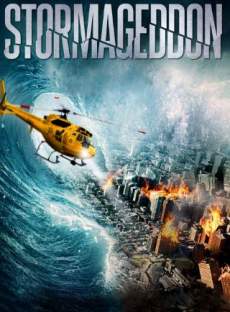 Stormageddon 2015 Dual Audio Hindi 480p 300MB FilmyFly