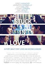 Stuck In Love 2012 Dual Audio Hindi 480p 300MB FilmyFly