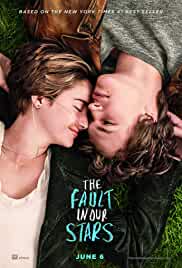 The Fault in Our Stars 2014 Hindi Subtitles 480p FilmyFly