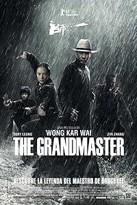 The Grandmaster 2013 Hindi Dubbed Chinese English 480p 720p 1080p Download FilmyFly