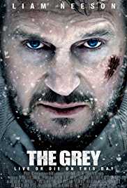 The Grey 2011 Hindi Dubbed 300MB 480p FilmyFly