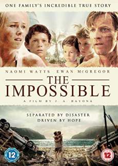 The Impossible 2012 Dual Audio Hindi 480p 300MB FilmyFly