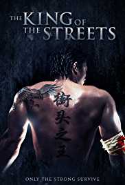 The King of the Streets 2012 Dual Audio Hindi 480p 300MB FilmyFly