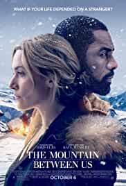 The Mountain Between Us 2017 Dual Audio Hindi 480p FilmyFly