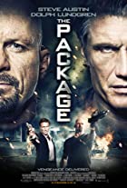 The Package 2013 Hindi Dubbed 480p 720p FilmyFly