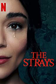 The Strays 2023 Hindi Dubbed 480p 720p 1080p FilmyFly