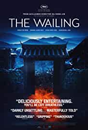 The Wailing 2016 Dual Audio Hindi 480p FilmyFly