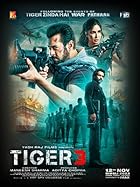 Tiger 3 2023 Movie Download 480p 720p 1080p 2160p 4K FilmyFly