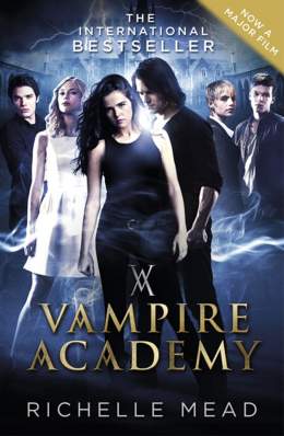 Vampire Academy 2014 Dual Audio Hindi 480p 300MB FilmyFly