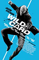 Wild Card 2015 Hindi Dubbed 480p 720p FilmyFly