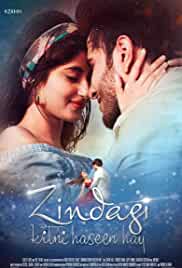 Zindagi Kitni Haseen Hay 2016 Full Movie Download FilmyFly