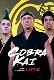 Cobra Kai FilmyFly All Seasons Hindi Dubbed