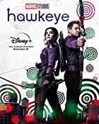 Hawkeye All Seasons Hindi 480p 720p HD Download FilmyFly  Filmywap